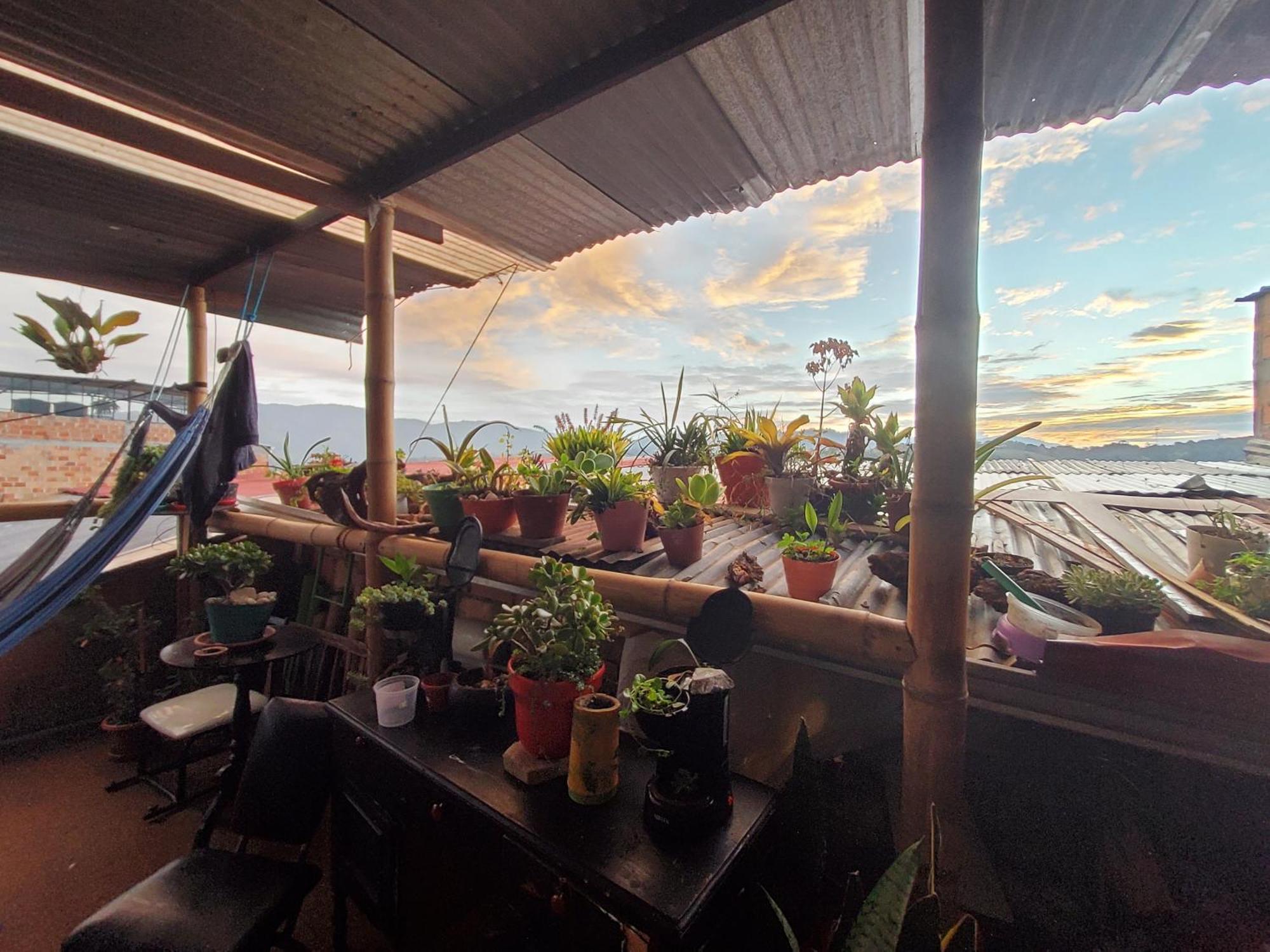 Hostal Musica Y Arte San Agustín Exteriör bild