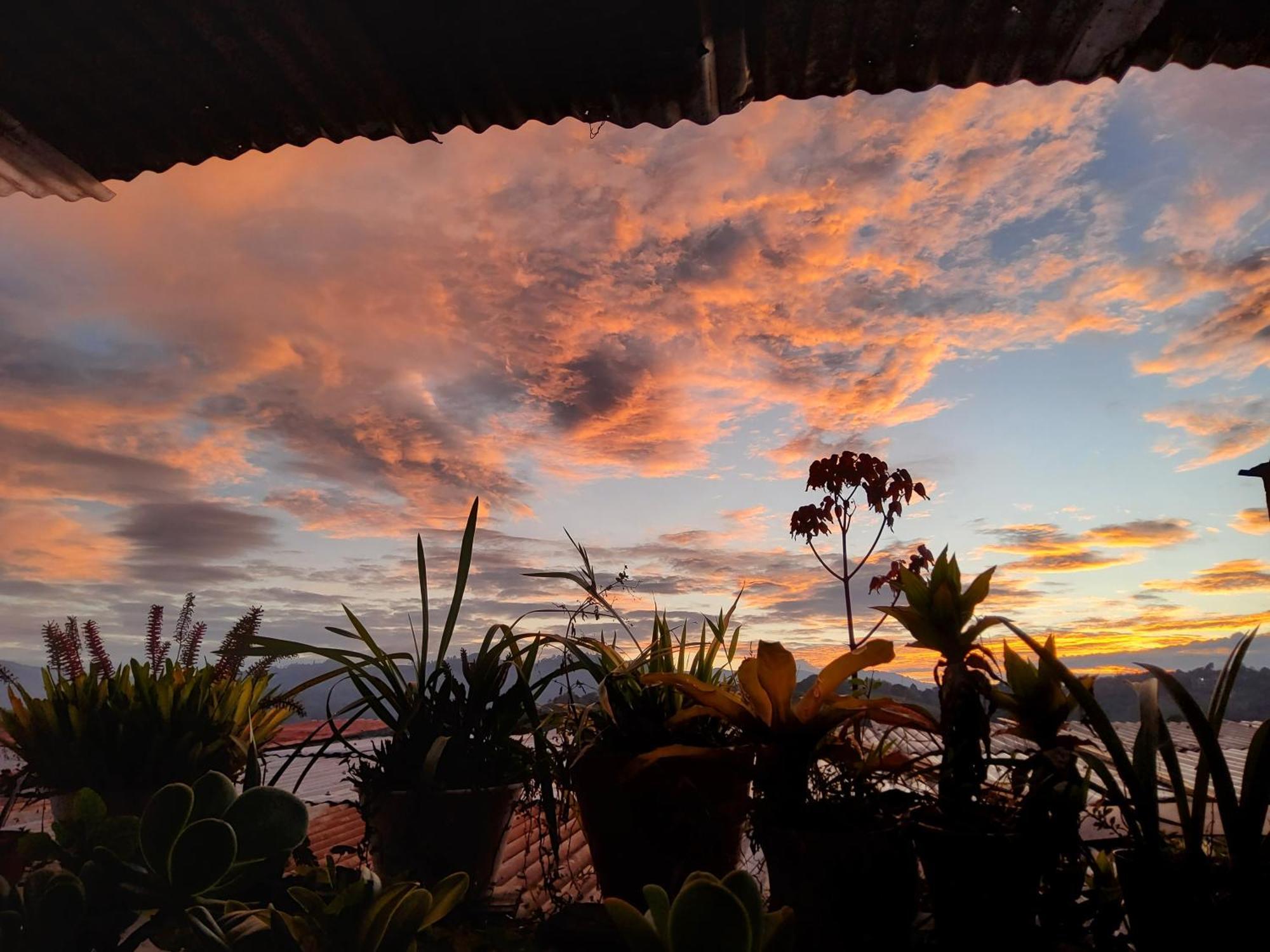 Hostal Musica Y Arte San Agustín Exteriör bild