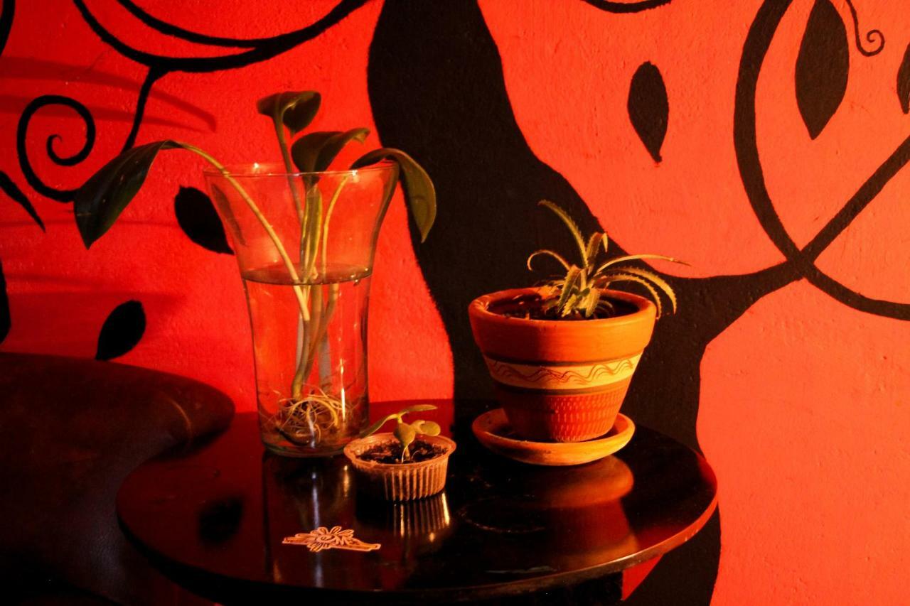 Hostal Musica Y Arte San Agustín Exteriör bild